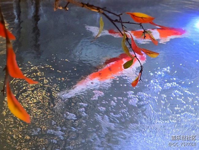 【奥运主题线下活动】+活动回顾