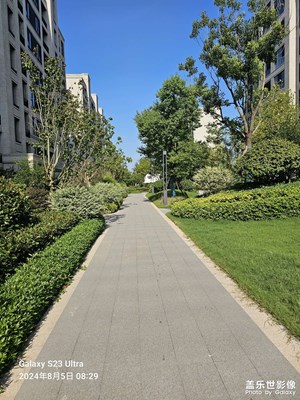景色