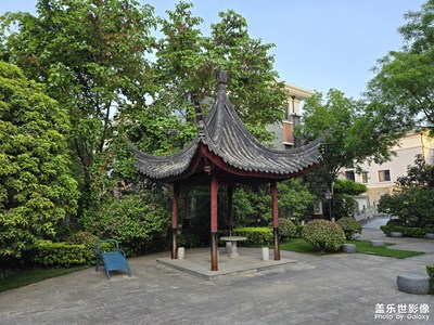 【我的假期故事】+城市随拍