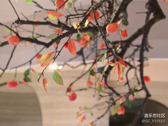 【奥运主题线下活动】+活动回顾