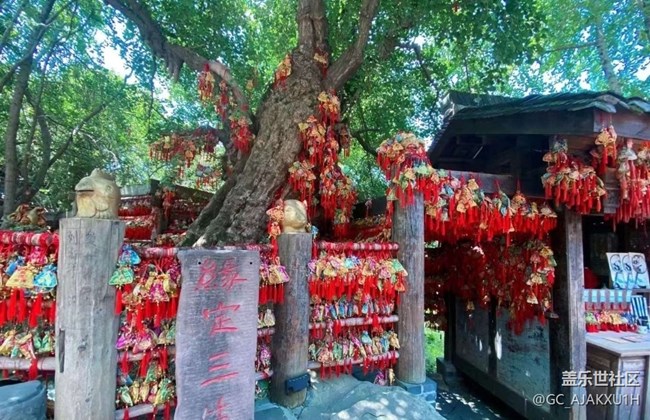 【半年足迹】成都游走