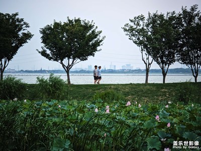 【难忘的夏天】+夏末