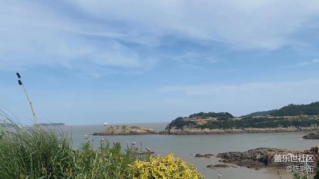 【夏日限定】游泳