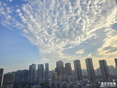 随手拍