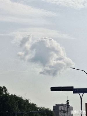 今天早上的云