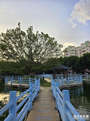 夕阳西下，断肠人在❤