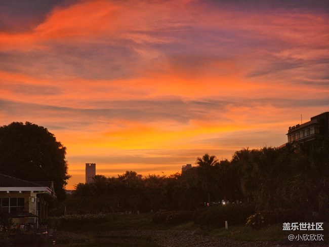 【夏日生活】夕阳和生活中的美好