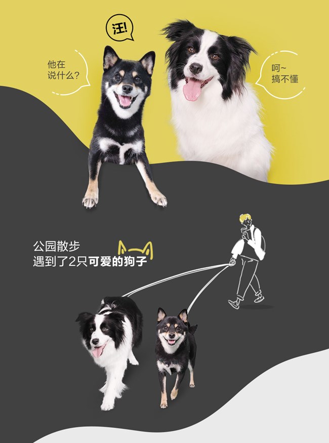 离谱！原来是召唤方式不对！