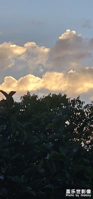 夕阳红～