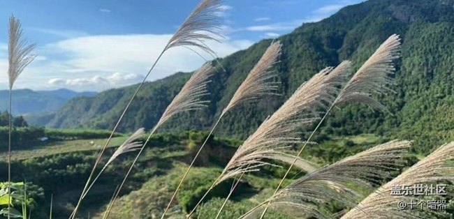 【夏日限定】山里美景