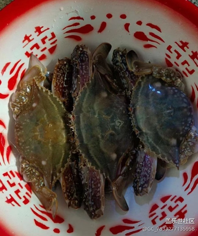 【八九不离食】梭子蟹