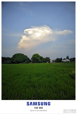 【难忘的夏天】饭后散步即景
