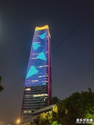 【难忘的夏天】+外滩周边随拍