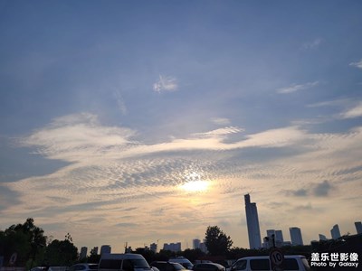 随手一拍