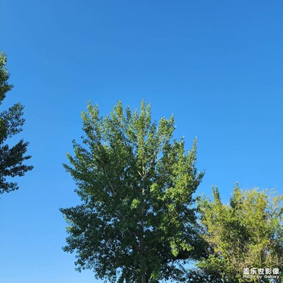 难忘的夏天 晴朗的天空