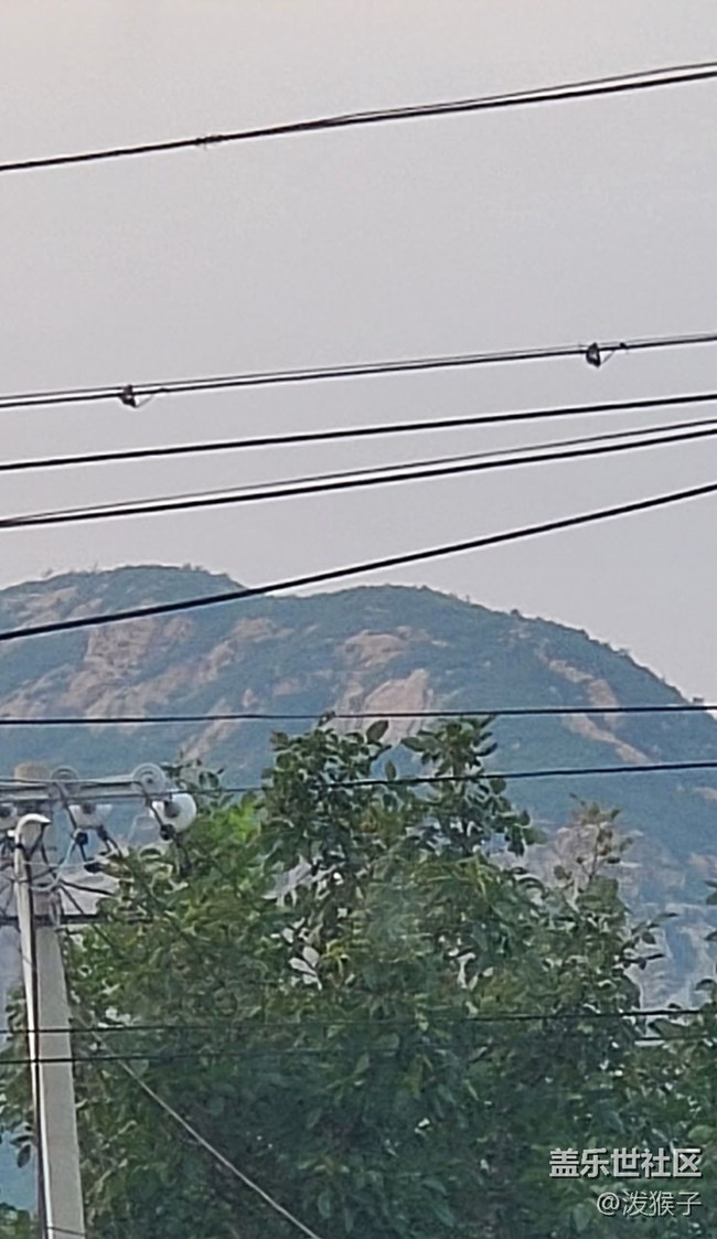 山
