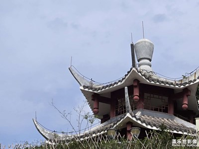 【难忘的夏天】+盛夏公园