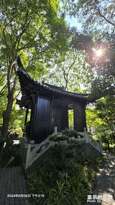 随手一拍