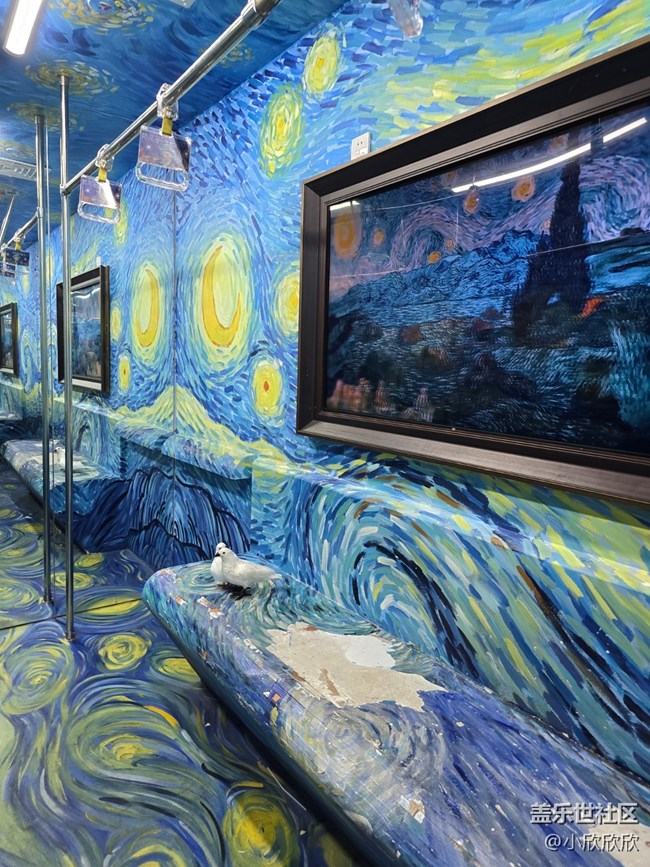 梵高星空展览线下摄影活动