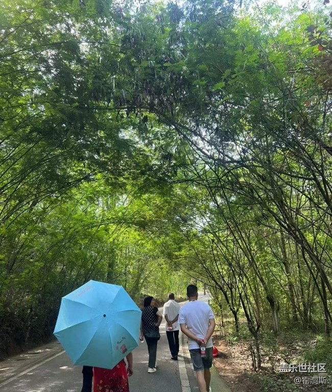 【夏日限定】爬山