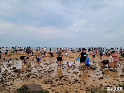 【难忘的夏天】赶海
