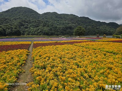 石门森林公园