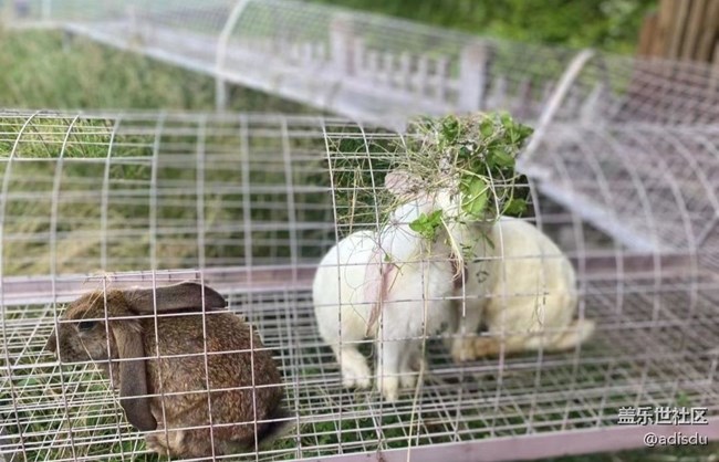 【时间影像】童趣