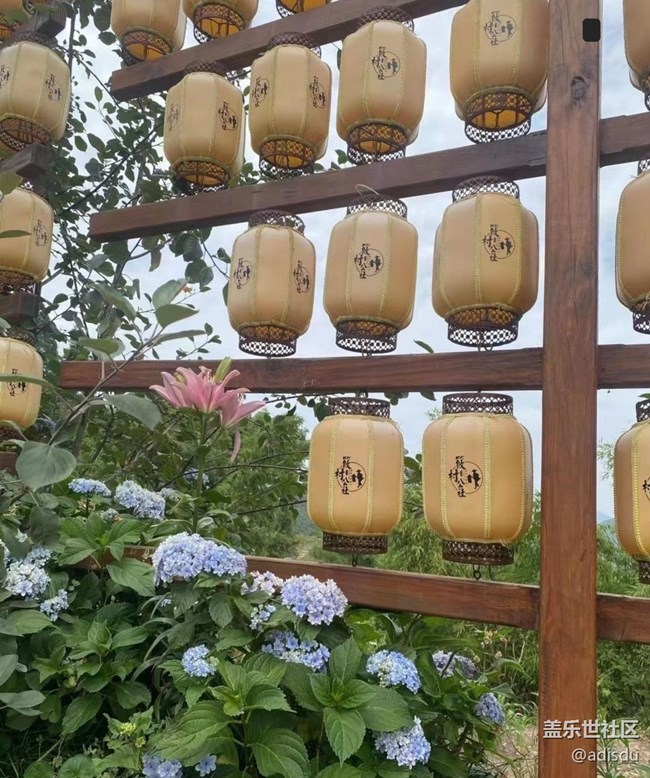 【时间影像】童趣