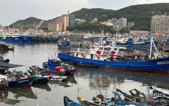 【时间影像】赶海
