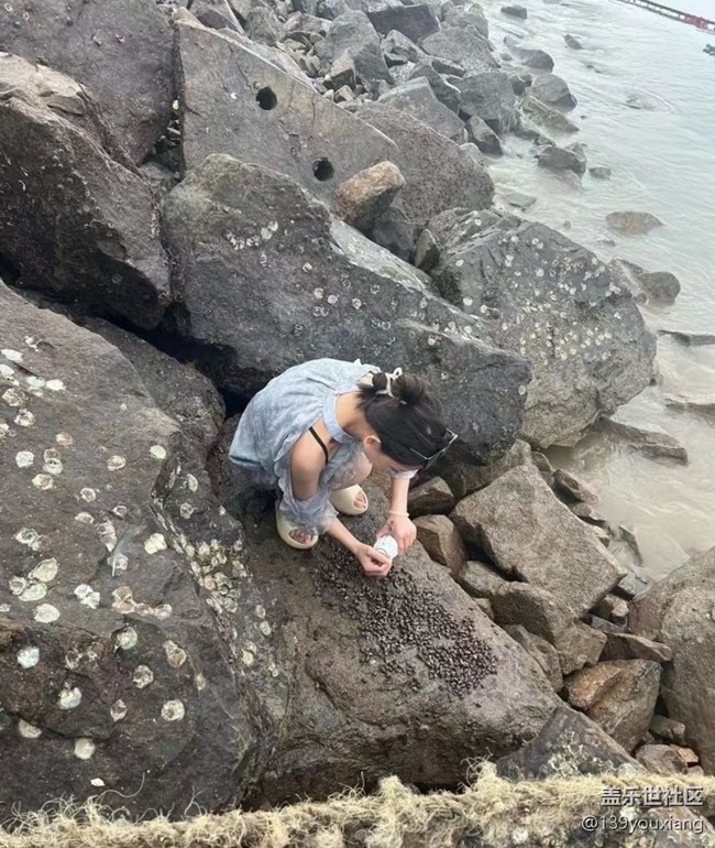 【时间影像】赶海