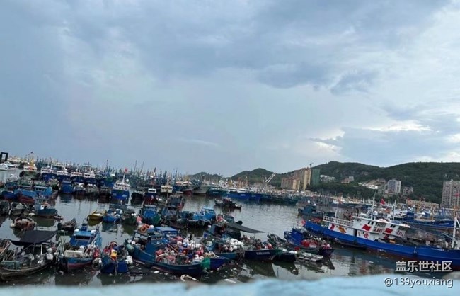 【时间影像】赶海