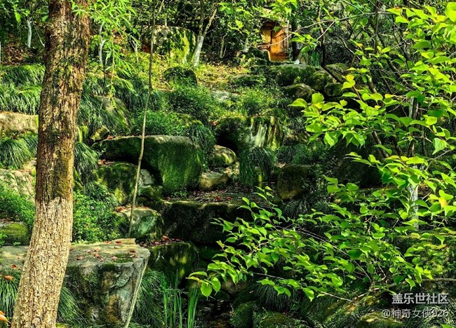 【寻秋】一路登山美景在脚下