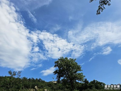 【时光印象】盛夏的记忆
