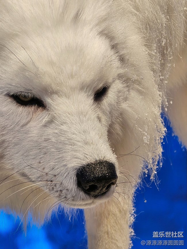 【未来视界，影动SKP】武汉星部落总结帖