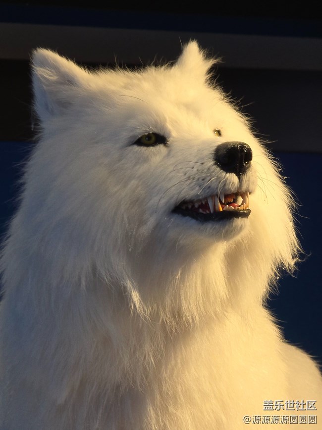 【未来视界，影动SKP】武汉星部落总结帖