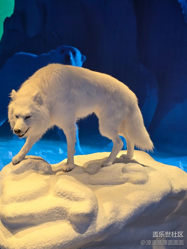 【未来视界，影动SKP】武汉星部落总结帖