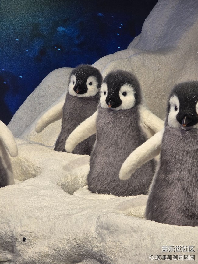 【未来视界，影动SKP】武汉星部落总结帖