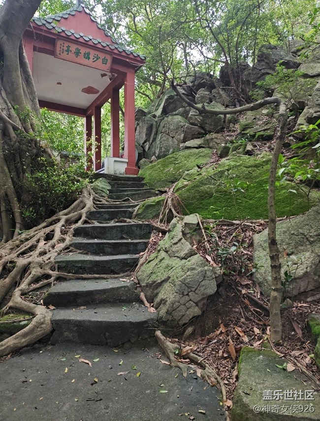 【寻秋】登山之路不畏险