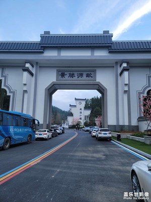 随手拍