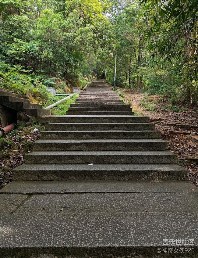 【寻秋】登山之路不畏险