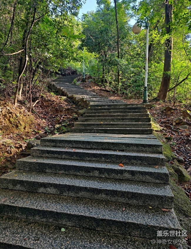 【寻秋】登山之路不畏险
