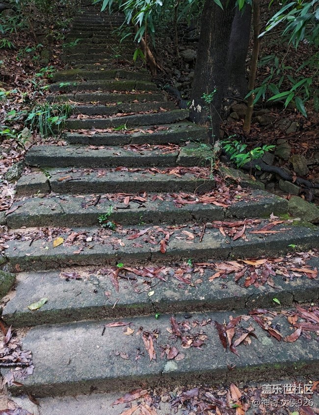 【寻秋】登山之路不畏险