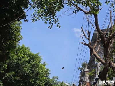 【时光印象】+沿途景色