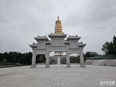 随手拍