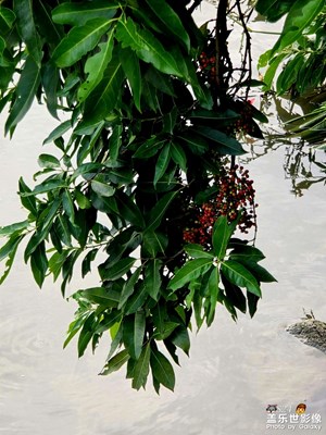 坚持拍照提高质量