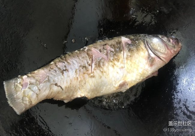 【秋天食补计划】红烧鲫鱼