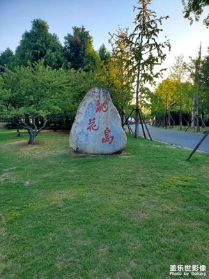 【随处精彩】+桃花岛