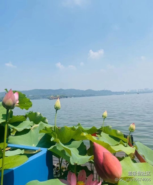 【夏日限定】风光秀丽