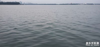 湖面