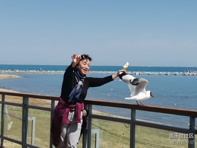 【寻秋】美女伴海鸥